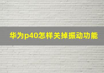 华为p40怎样关掉振动功能