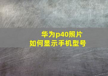 华为p40照片如何显示手机型号