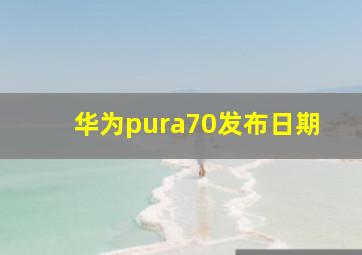 华为pura70发布日期