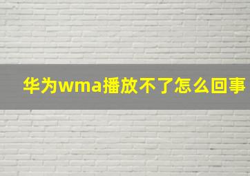 华为wma播放不了怎么回事