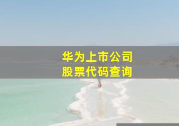 华为上市公司股票代码查询