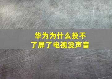 华为为什么投不了屏了电视没声音