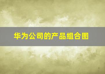 华为公司的产品组合图