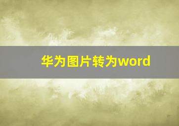 华为图片转为word