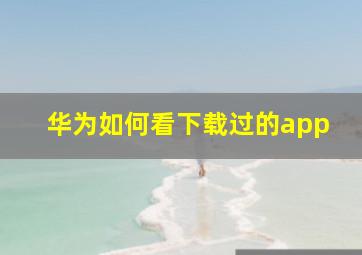 华为如何看下载过的app