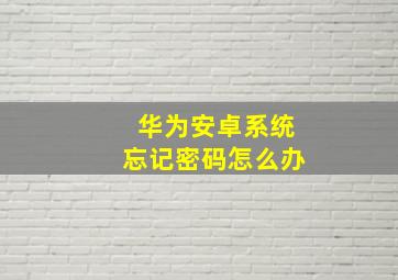 华为安卓系统忘记密码怎么办