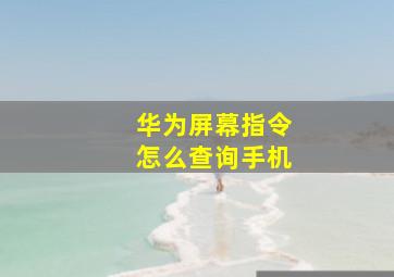 华为屏幕指令怎么查询手机