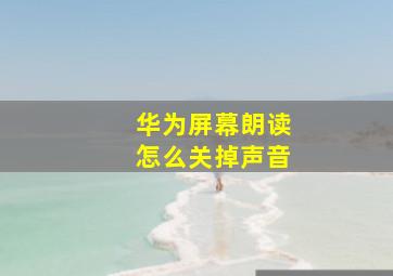 华为屏幕朗读怎么关掉声音