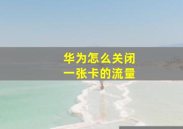 华为怎么关闭一张卡的流量