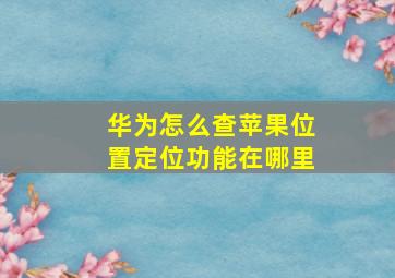 华为怎么查苹果位置定位功能在哪里