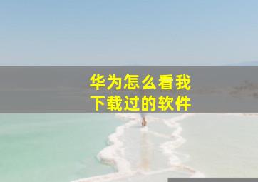 华为怎么看我下载过的软件