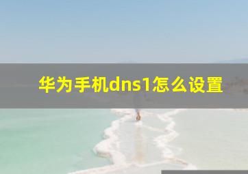 华为手机dns1怎么设置