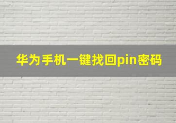 华为手机一键找回pin密码