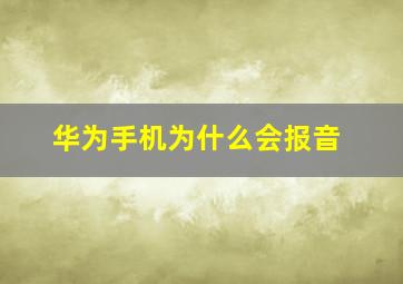 华为手机为什么会报音