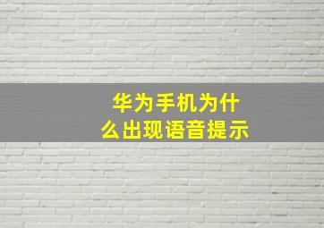 华为手机为什么出现语音提示