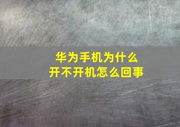 华为手机为什么开不开机怎么回事