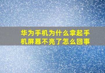 华为手机为什么拿起手机屏幕不亮了怎么回事