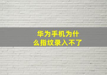 华为手机为什么指纹录入不了