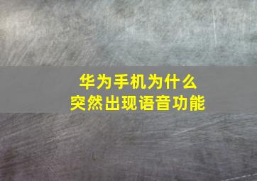 华为手机为什么突然出现语音功能