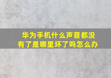 华为手机什么声音都没有了是哪里坏了吗怎么办