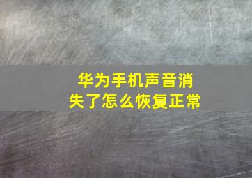 华为手机声音消失了怎么恢复正常