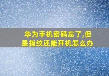 华为手机密码忘了,但是指纹还能开机怎么办