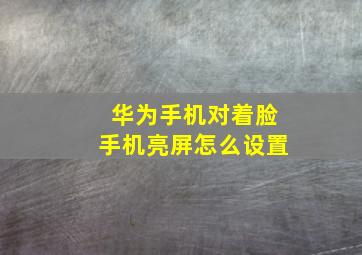 华为手机对着脸手机亮屏怎么设置