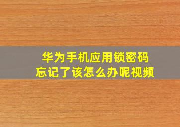 华为手机应用锁密码忘记了该怎么办呢视频