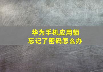 华为手机应用锁忘记了密码怎么办