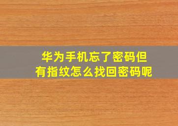 华为手机忘了密码但有指纹怎么找回密码呢