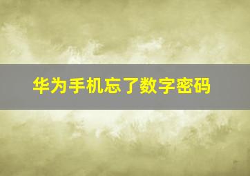 华为手机忘了数字密码