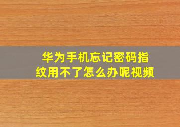 华为手机忘记密码指纹用不了怎么办呢视频