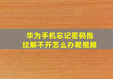 华为手机忘记密码指纹解不开怎么办呢视频