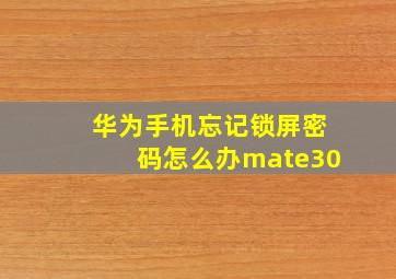 华为手机忘记锁屏密码怎么办mate30