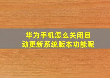 华为手机怎么关闭自动更新系统版本功能呢