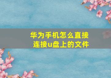 华为手机怎么直接连接u盘上的文件