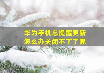 华为手机总提醒更新怎么办关闭不了了呢