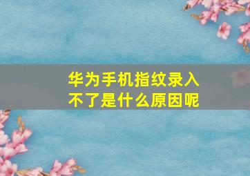 华为手机指纹录入不了是什么原因呢