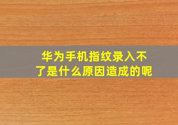 华为手机指纹录入不了是什么原因造成的呢