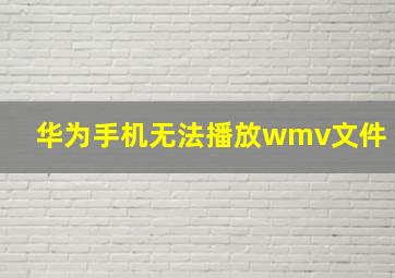 华为手机无法播放wmv文件