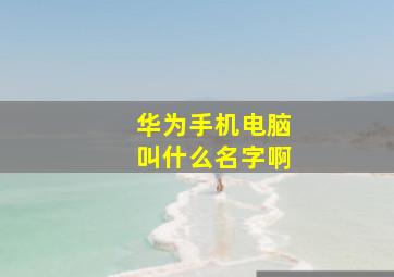 华为手机电脑叫什么名字啊