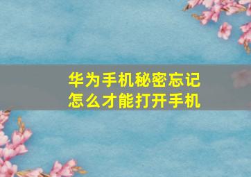 华为手机秘密忘记怎么才能打开手机