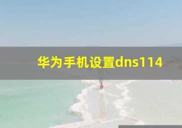 华为手机设置dns114