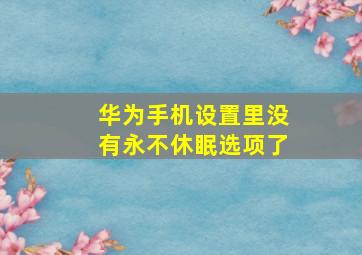 华为手机设置里没有永不休眠选项了