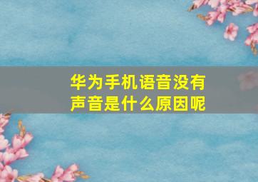 华为手机语音没有声音是什么原因呢