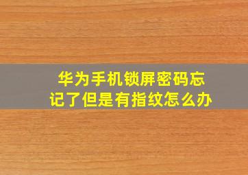 华为手机锁屏密码忘记了但是有指纹怎么办