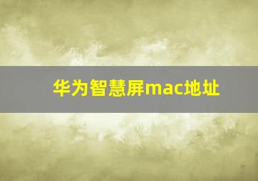 华为智慧屏mac地址