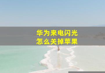 华为来电闪光怎么关掉苹果