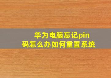 华为电脑忘记pin码怎么办如何重置系统