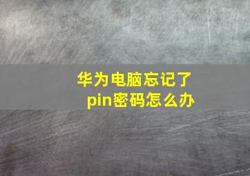 华为电脑忘记了pin密码怎么办